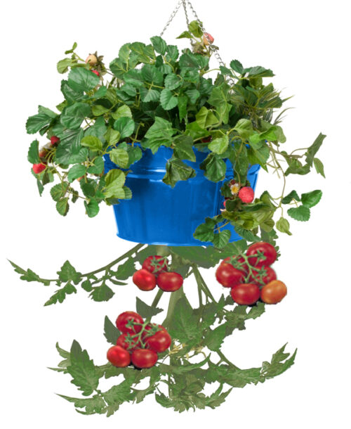 Enameled Galvanized Hanging Strawberry, Floral Planter - Blue