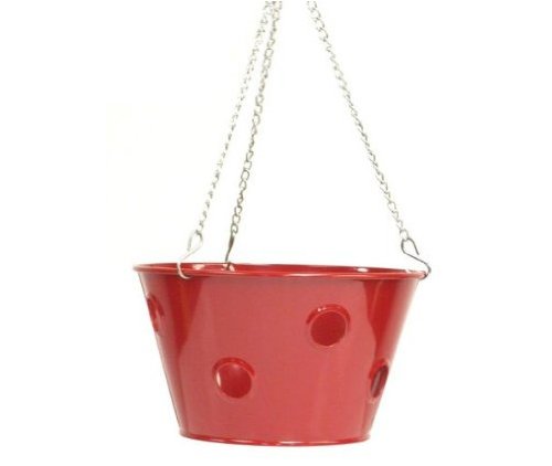 Enameled Galvanized Hanging Strawberry, Herb, Floral Planter - Red