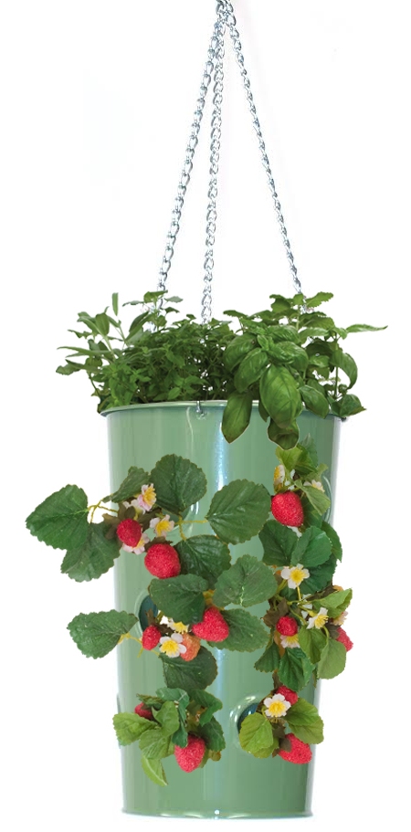 Enameled Galvanized Steel Strawberry, Herb & Floral Hanging Planter, Sage