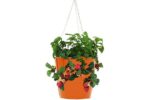 Enameled Galvanized Steel Strawberry, Herb & Floral Hanging Planter, Tangerine