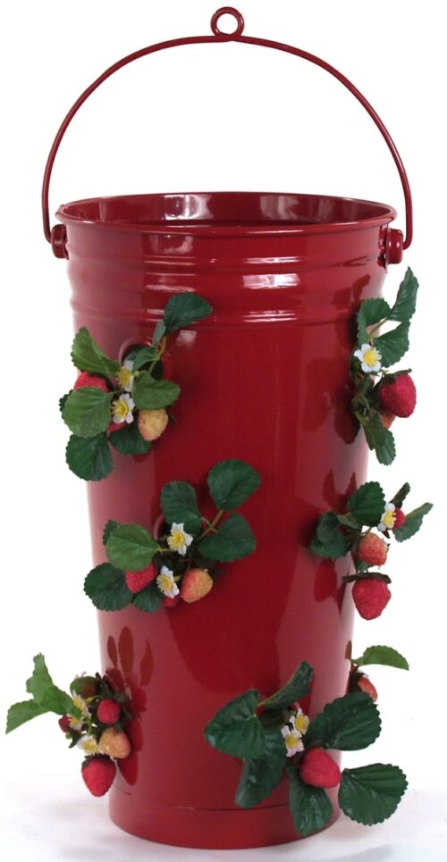 Enameled Galvanized Strawberry & Flower Planter, Red