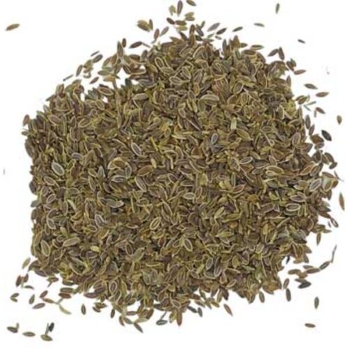 H16DILSW 1 oz Dill Seed Whole