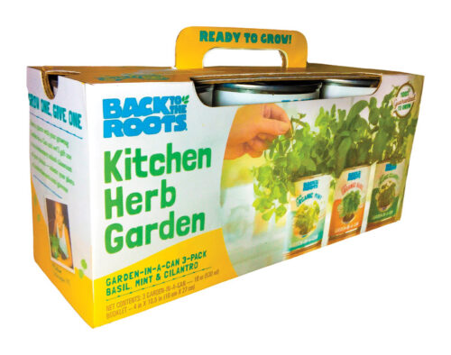 Kitchen Herb Garden Grow Kit for Full Sun - Pack of 3