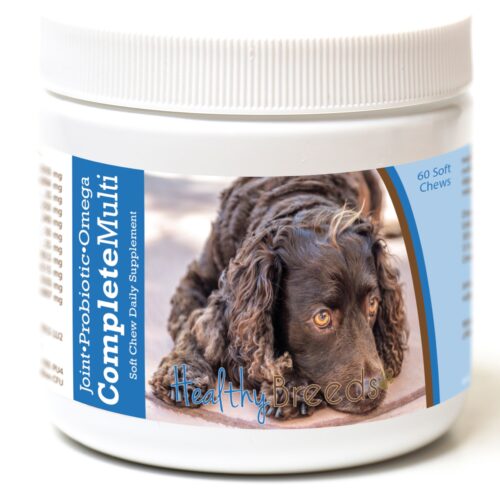 192959007299 American Water Spaniel All in One Multivitamin Soft Chew - 60 Count