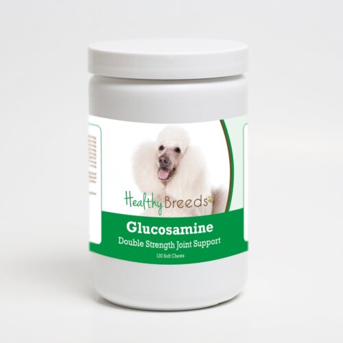 192959015331 Poodle Glucosamine DS Plus MSM - 120 Count