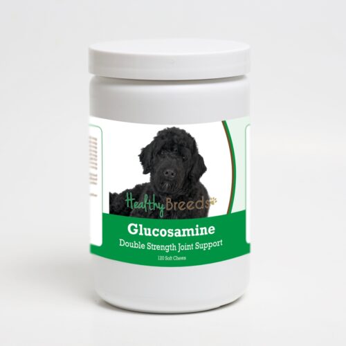 192959015379 Portuguese Water Dog Glucosamine DS Plus MSM - 120 Count