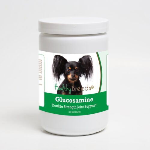 192959015508 Russian Toy Terrier Glucosamine DS Plus MSM - 120 Count