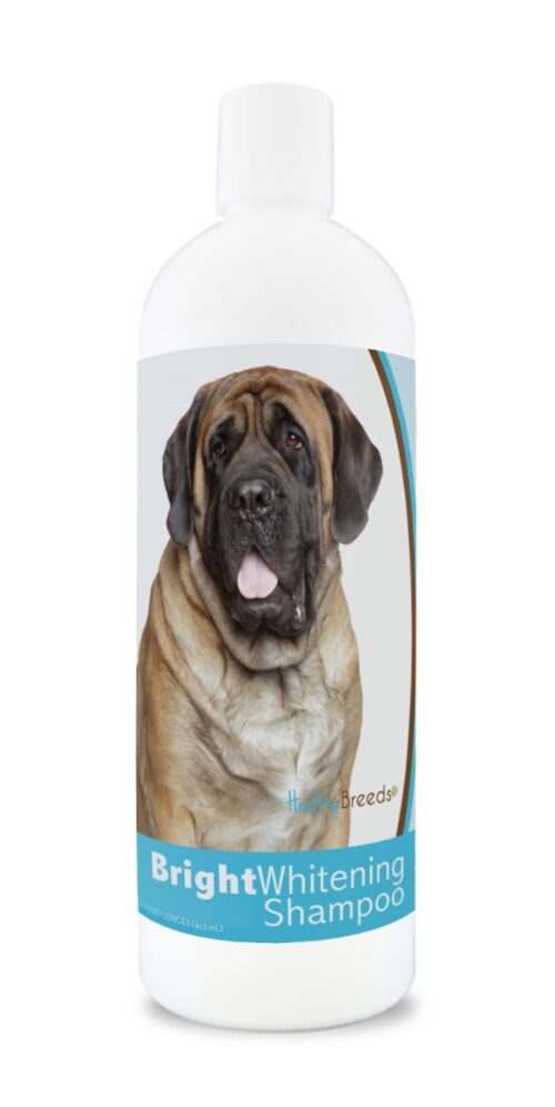 840235169758 12 oz Mastiff Bright Whitening Shampoo