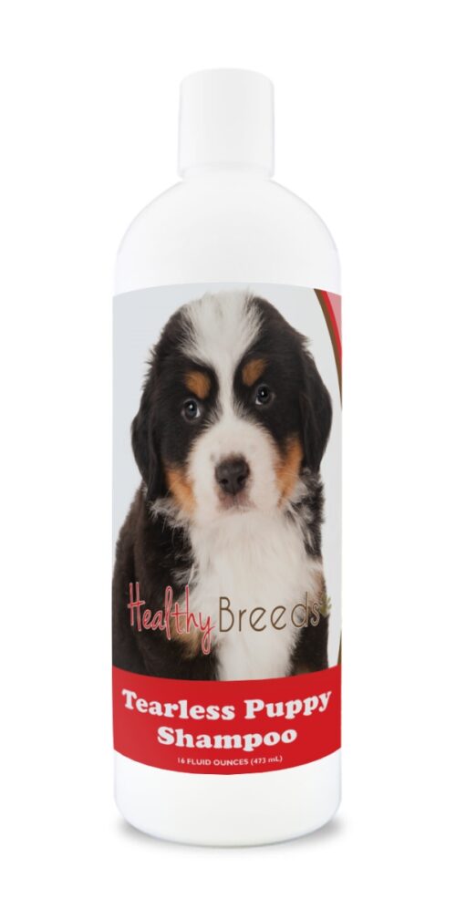 840235186298 Bernese Mountain Dog Tearless Puppy Dog Shampoo