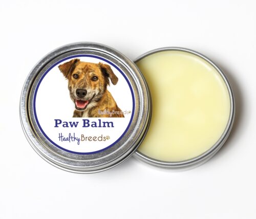 840235194156 2 oz Plott Dog Paw Balm