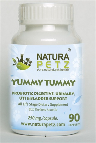 ANNA1 Yummy Tummy - All Life Stages - 90 Capsules - 250 mg per capsule