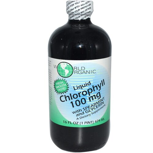 World Organic KHLV02550739 16 oz 100mg Liquid Chlorophyll with Spearmint & Glycerin