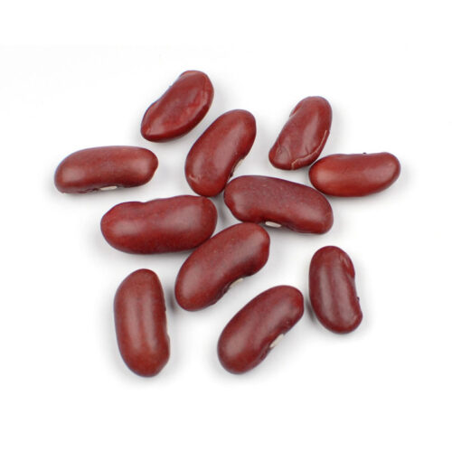 039627 10 lbs Box Organic Dark Red Kidney Beans